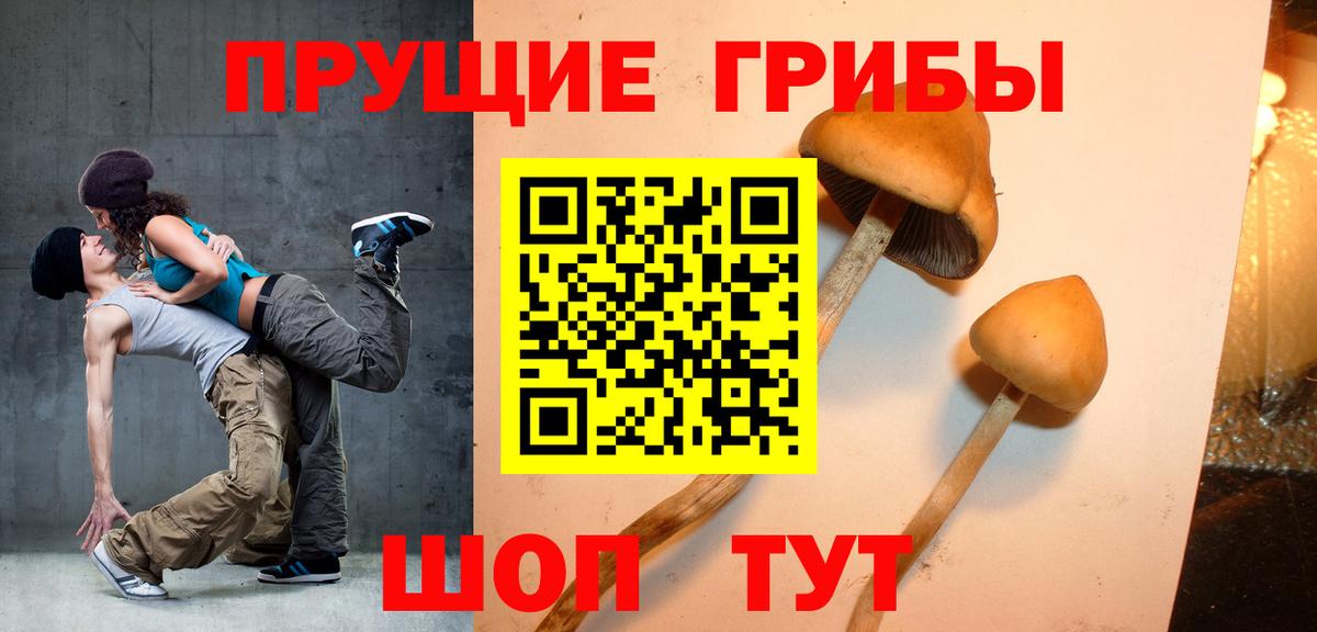 Нальчик  Псилоцибиновые грибы MAGIC MUSHROOMS  Вход с VPN 