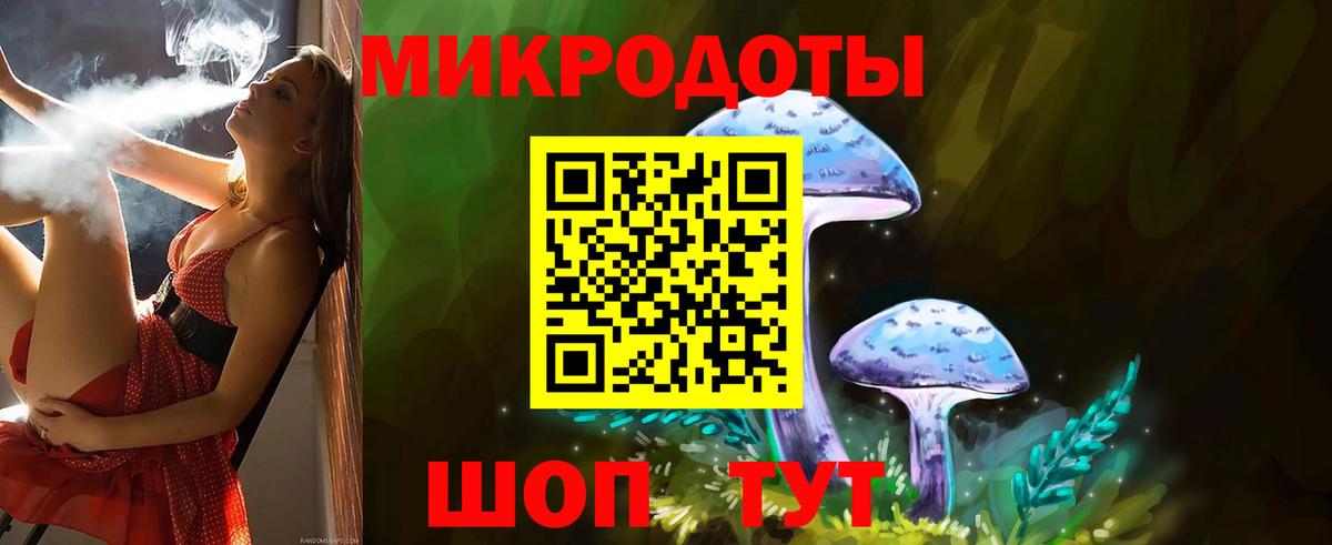 Псилоцибиновые грибы мухоморы Нальчик